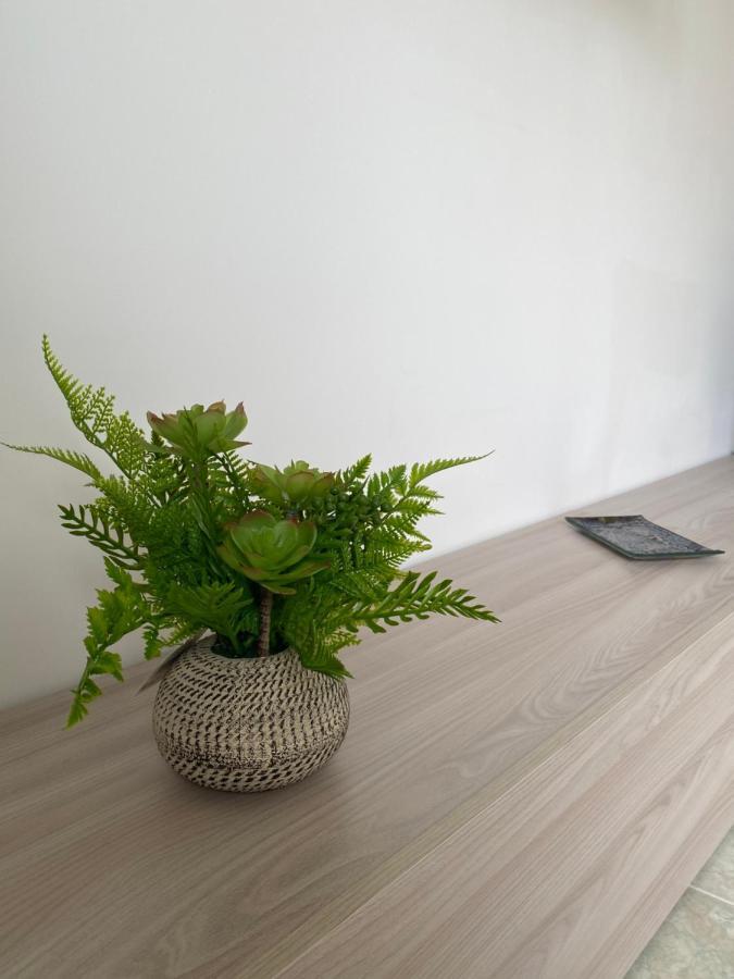Sole, Mare E Trallalla 里里耶沃 外观 照片